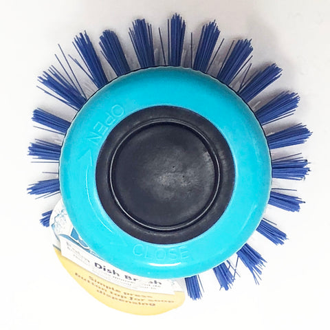 Scrubber Brush - Asters Maldives
