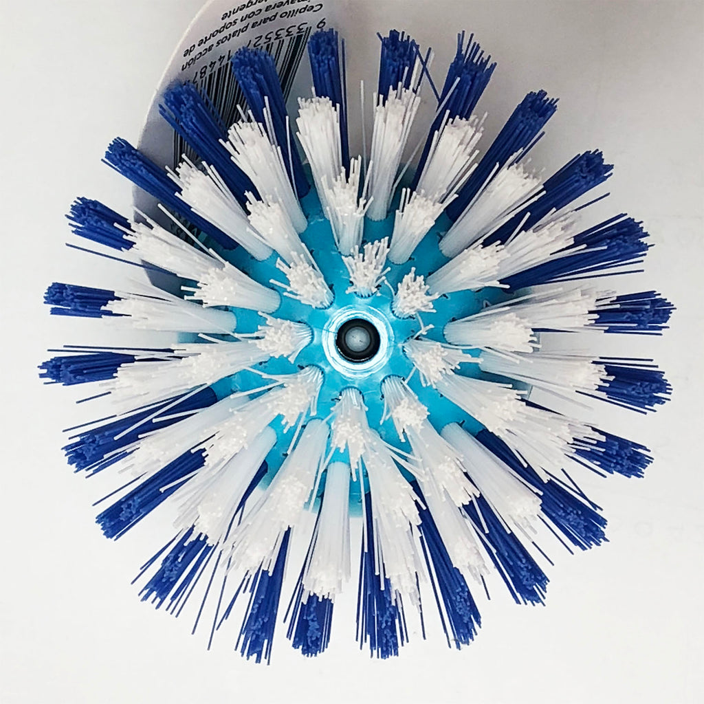 Scrubber Brush - Asters Maldives