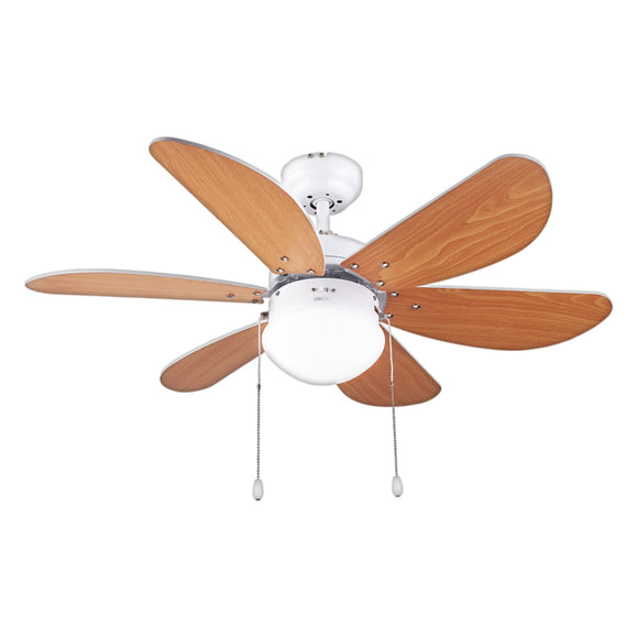 Ceiling Fan (Ø36