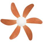 Ceiling Fan (Ø36") - Asters Maldives